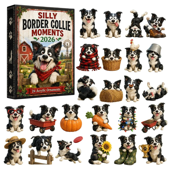Christmas Collie Dog Advent Calendar | 24 Days