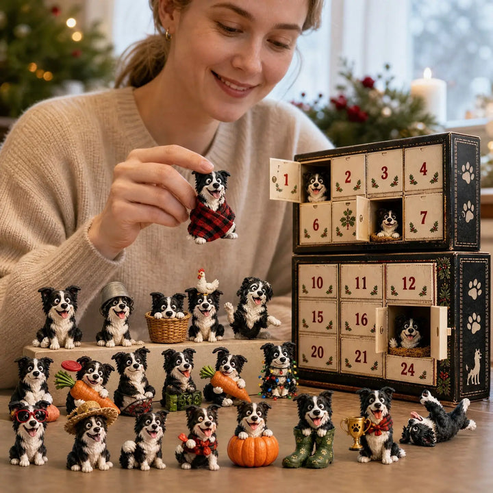 Christmas Collie Dog Advent Calendar | 24 Days