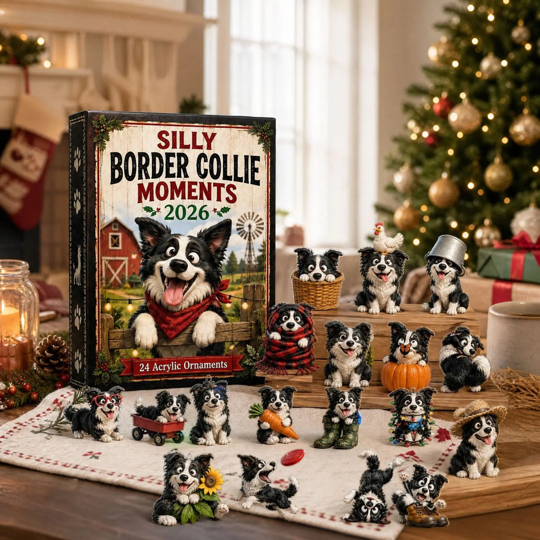Christmas Collie Dog Advent Calendar | 24 Days