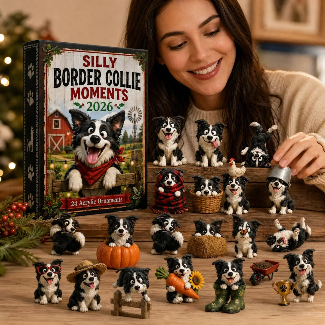 Christmas Collie Dog Advent Calendar | 24 Days
