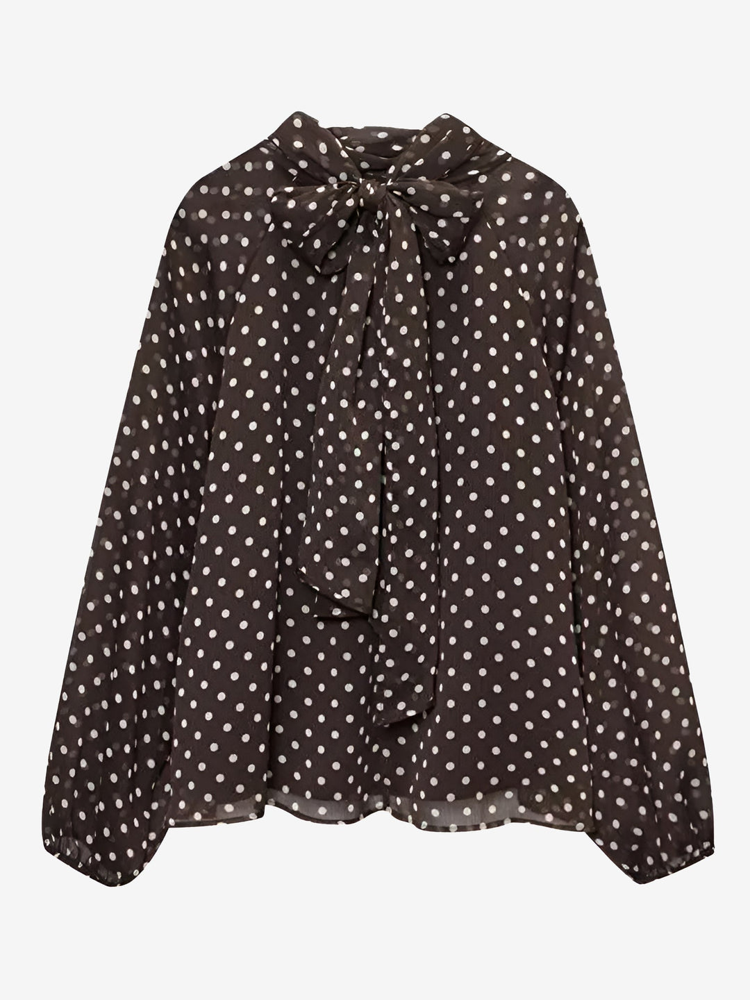 Women's Polka Dot Ruffle Neck Blouse | Sheer