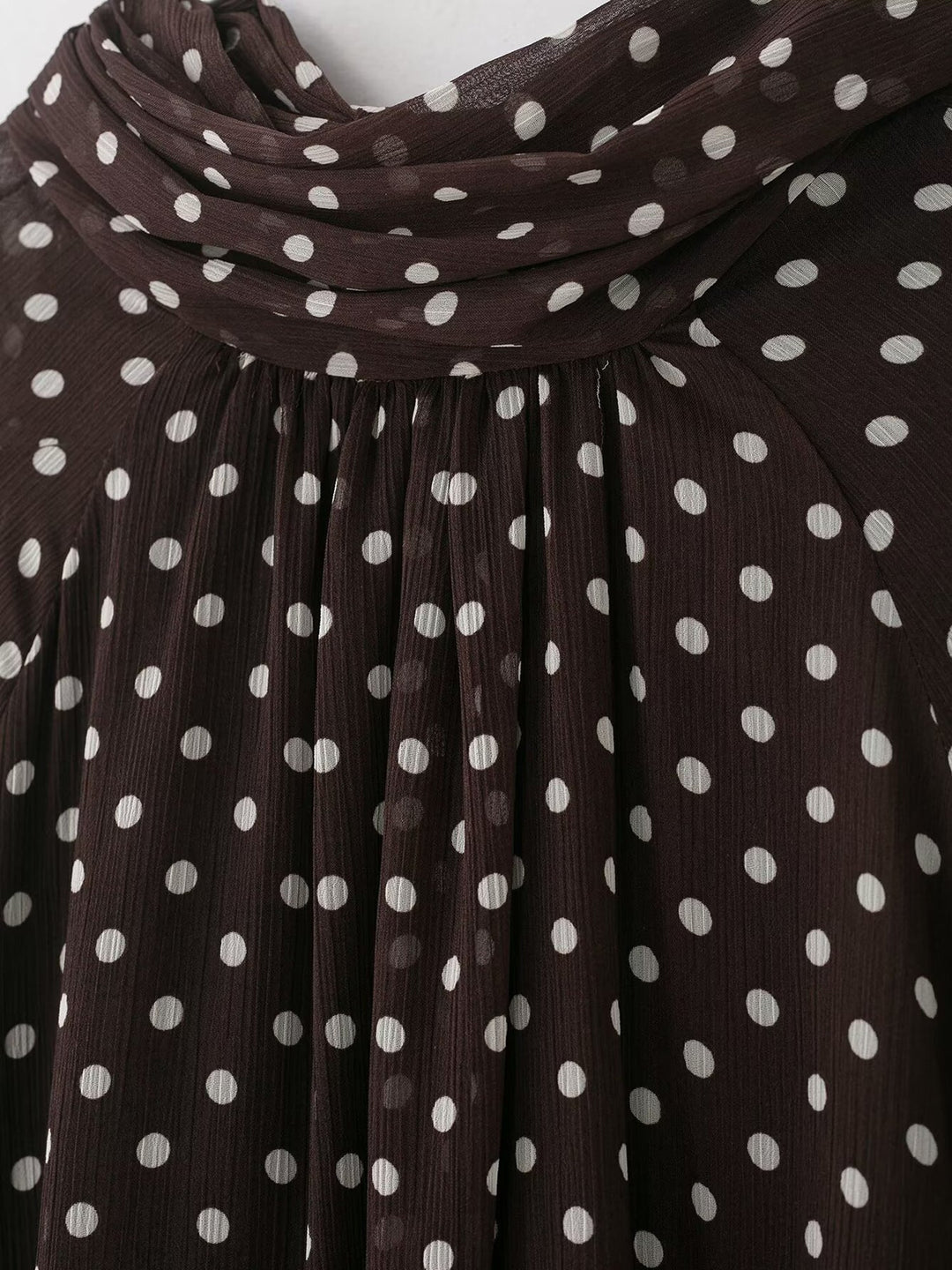 Women's Polka Dot Ruffle Neck Blouse | Sheer